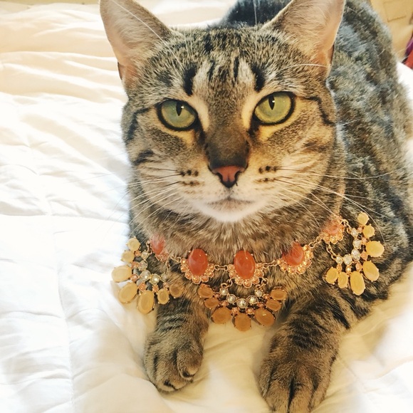 First - Picture 2 of 4